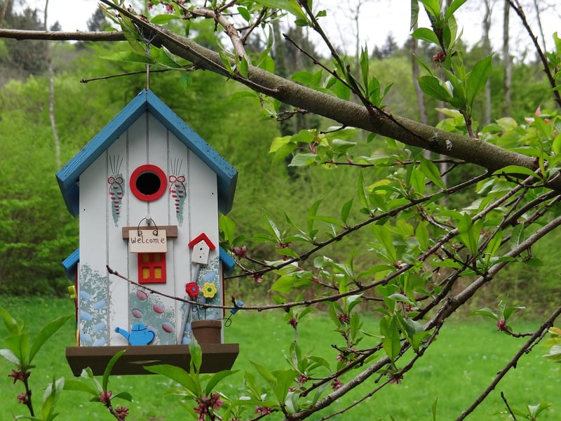 Forest Treehouse Hideout